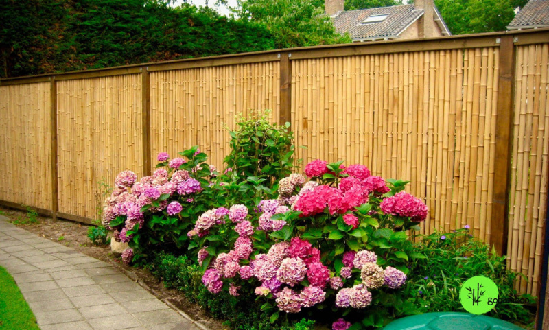 inspiracia bambusový plot